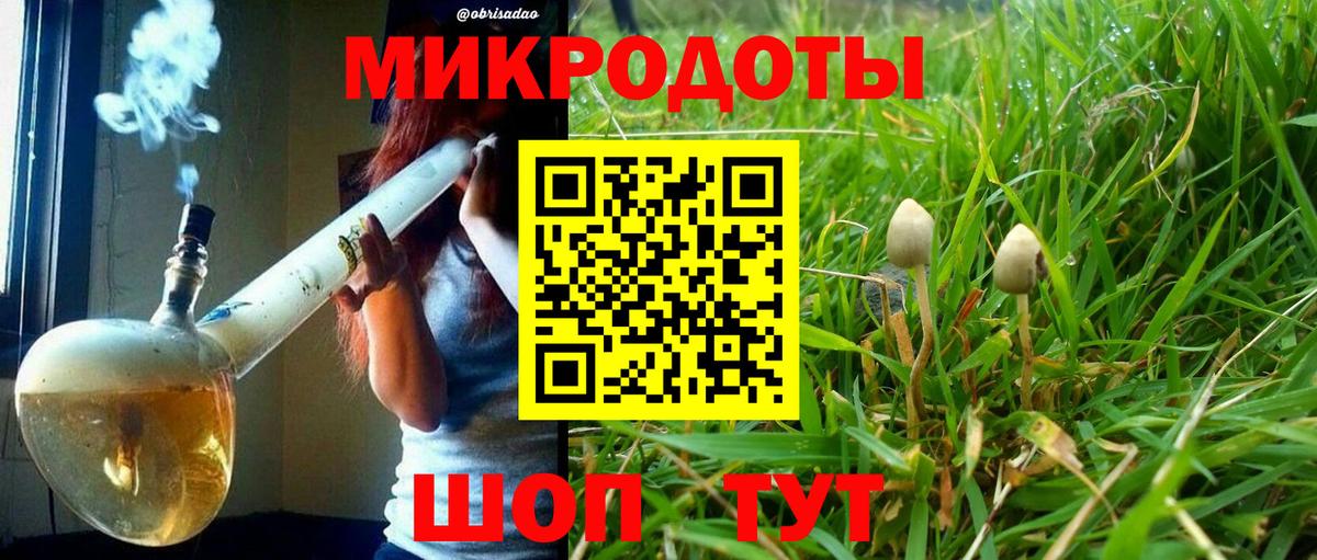 Галлюциногенные грибы GOLDEN TEACHER  Вход с VPN  Батайск 